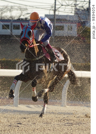 ダート競馬　 9894054