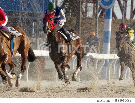 ダート競馬 の写真素材