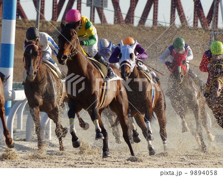 ダート競馬 の写真素材