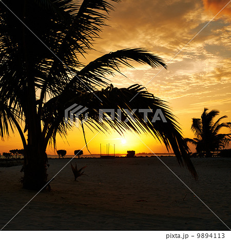 Sunset at Maldivian beach 9894113