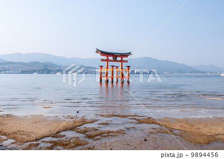 厳島神社 大鳥居 厳島神社 大鳥居 9894456