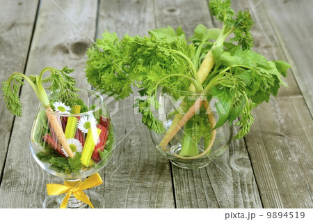 サラダ サラダ 9894519