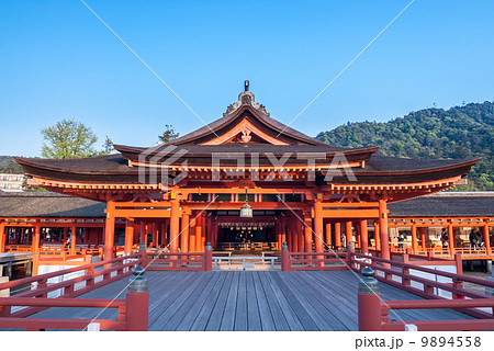 厳島神社　高舞台から見た本殿 9894558