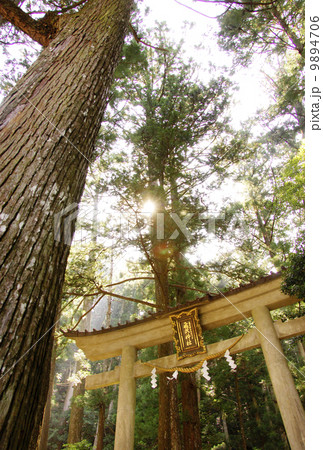 飛瀧神社 9894706