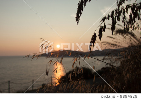 Sunset in Toscana Italy with silhouette Sunset in Toscana Italy with silhouette 9894829