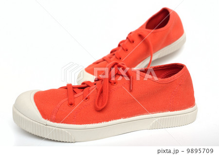 gumshoes 9895709