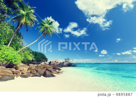 beach on Mahe island, Seychelles 9895887