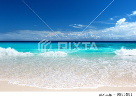 seychelles beach 9895891