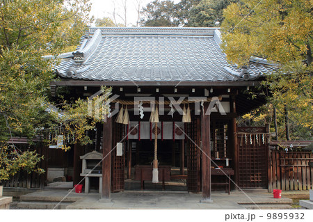 京都　新熊野神社 9895932