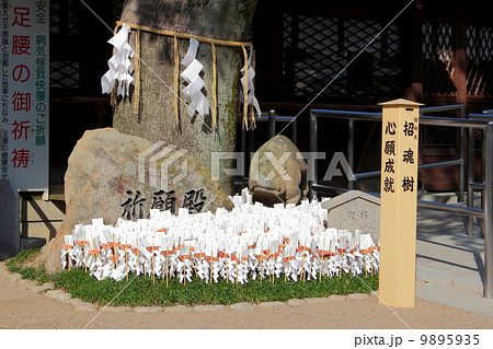 京都　護王神社　足腰祈願 9895935