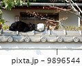 寄り添う猫 9896544