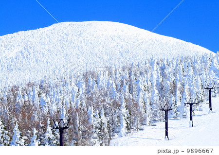 蔵王の樹氷 蔵王の樹氷 9896667