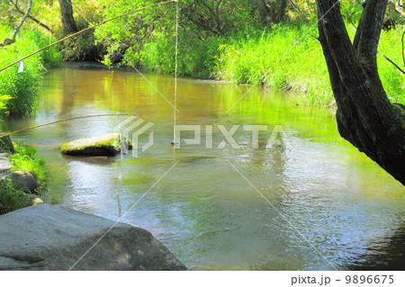 遠野・カッパ淵 遠野・カッパ淵 9896675