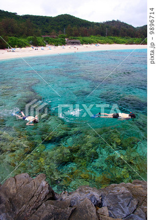 シュノーケリング 9896714