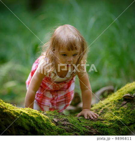 Little girl in the forest Little girl in the forest 9896811