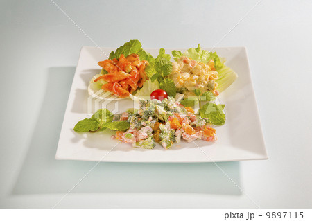 ビュッフェ・3種類のサラダ盛り合わせ ビュッフェ・3種類のサラダ盛り合わせ 9897115