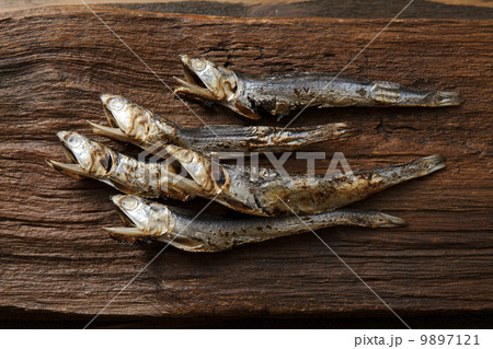 酒の肴 ウルメイワシ 酒の肴 ウルメイワシ 9897121
