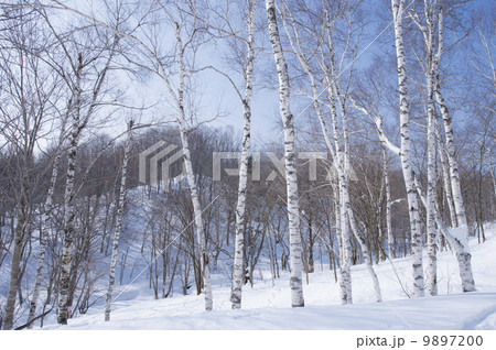 冬の風景 冬の風景 9897200