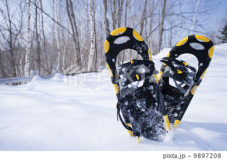 スノーシュー 9897208