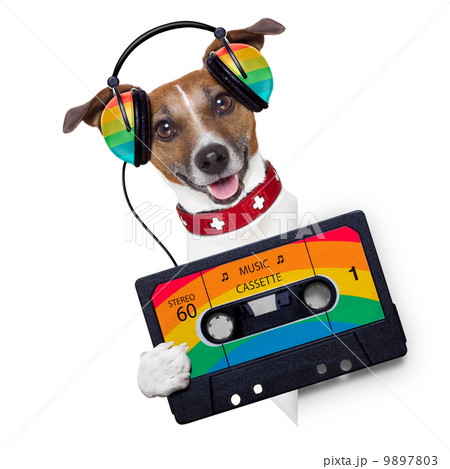 music dog 9897803