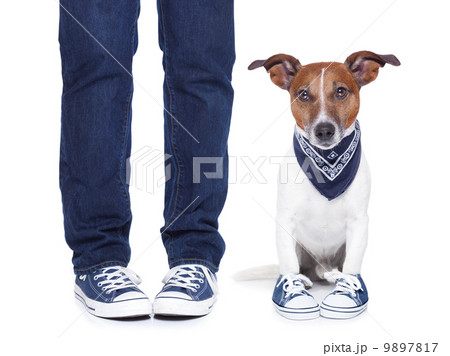 dog owner and dog dog owner and dog 9897817