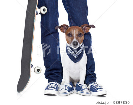 dog owner  and dog 9897850