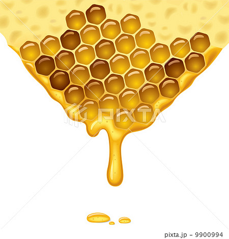 Flowing Honeyのイラスト素材
