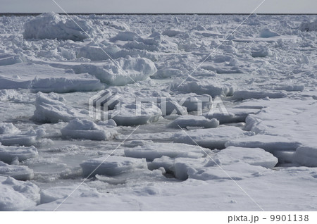 紋別の流氷風景2014 9901138