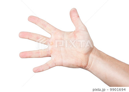 Men's palm, hand, arm. On a white background. Men's palm, hand, arm. On a white background. 9901694