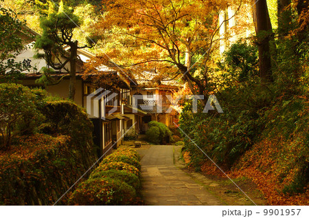 紅葉　清水寺　島根 9901957