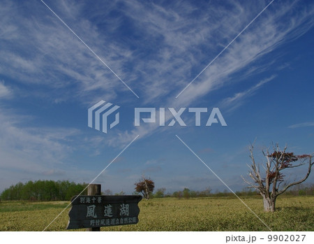 風蓮湖の空 風蓮湖の空 9902027