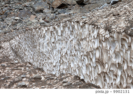Crevasse in glacier, close-up view. 9902131