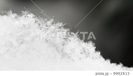 snowflake in white snow snowflake in white snow 9902615
