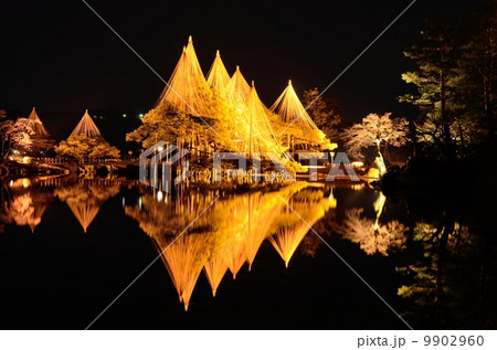 兼六園・雪つり【横】 9902960