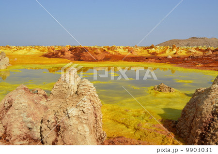 ダロール 9903031