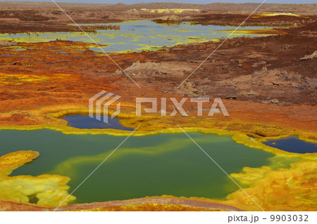 ダロール 9903032