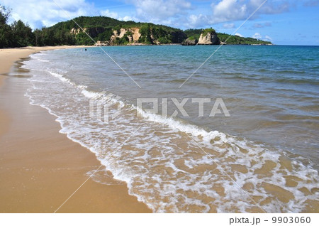 月が浜 9903060