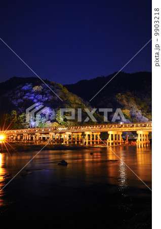 京都嵐山　花灯路 9903218