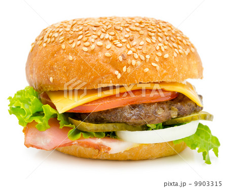 cheeseburger cheeseburger 9903315