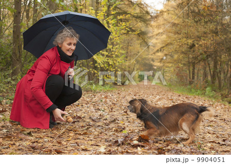 Woman with umbrella playing with her dog Woman with umbrella playing with her dog 9904051