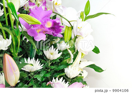 仏花 仏花 9904106