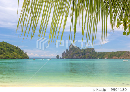 Beautiful bay of Phi Phi island  Thailand 9904180