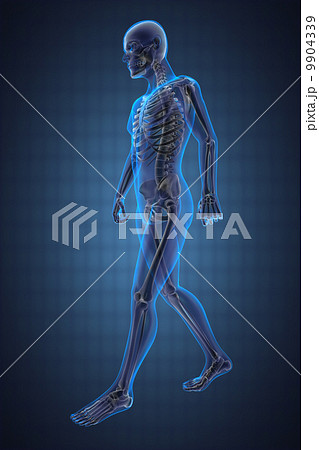walking man radiography 9904339