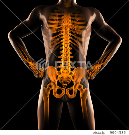 human radiography scan 9904586