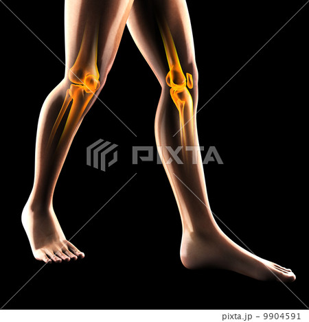 human radiography scan 9904591