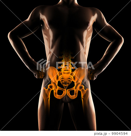 human radiography scan 9904594