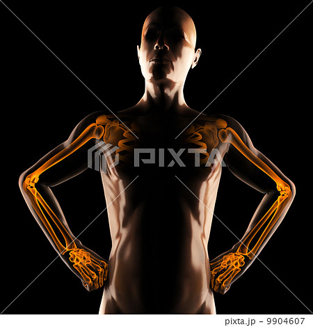 human radiography scan 9904607