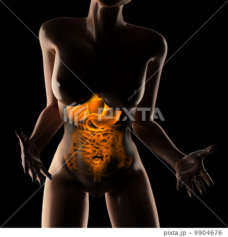 woman  entrails radiography scan 9904676
