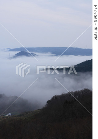 雲海（縦） 9904724