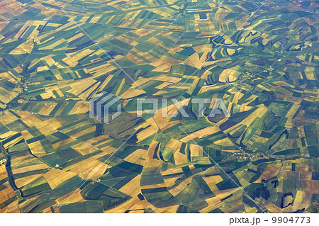 緑の平原 9904773